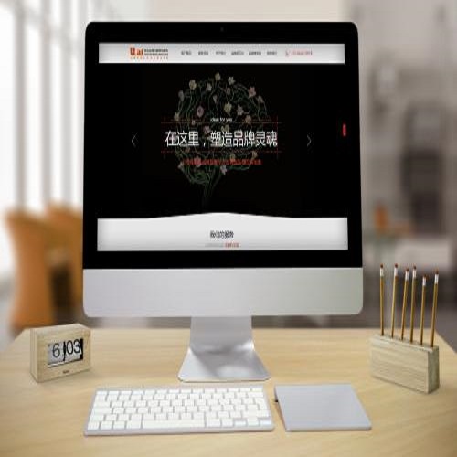 网站推广前期网络广告投放的市场分析